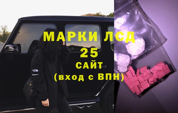 прущие грибы Балабаново