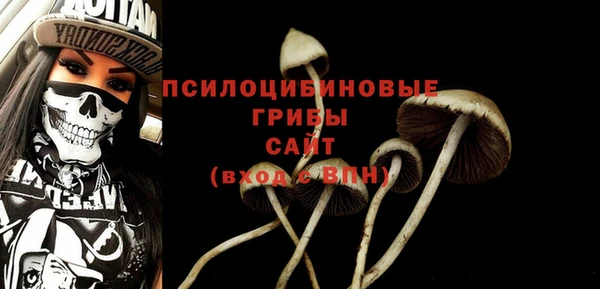 прущие грибы Балабаново