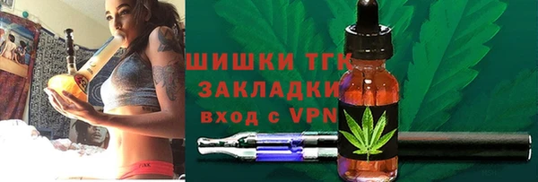 прущие грибы Балабаново