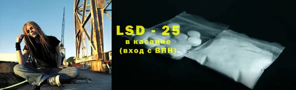прущие грибы Балабаново
