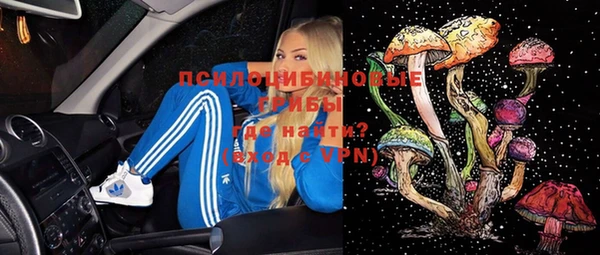 прущие грибы Балабаново