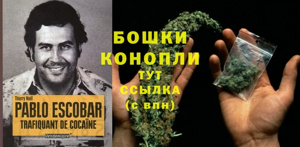 прущие крисы Баксан