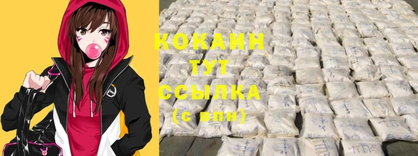 прущие грибы Балабаново