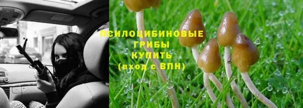 прущие крисы Баксан